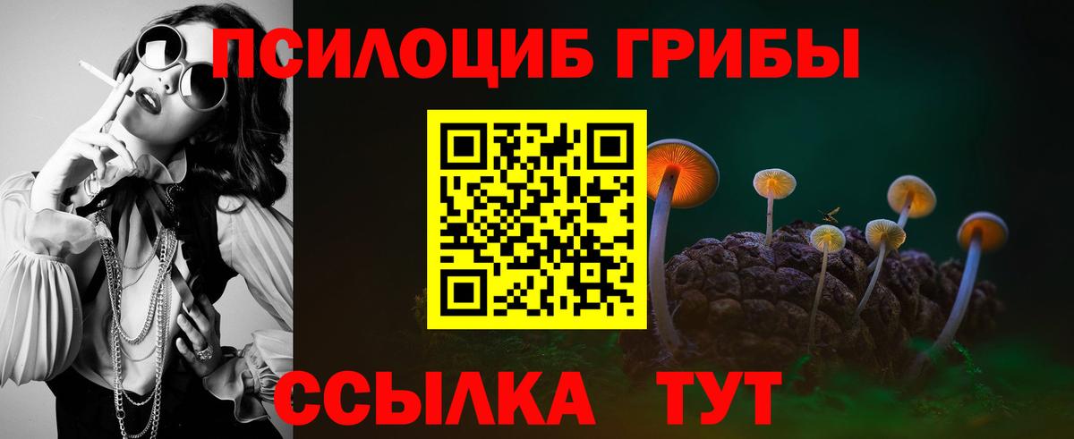 Псилоцибиновые грибы мицелий Назарово